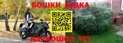 стаф Новодвинск
