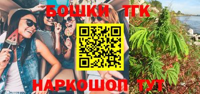стаф Новодвинск