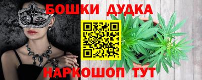 стаф Новодвинск