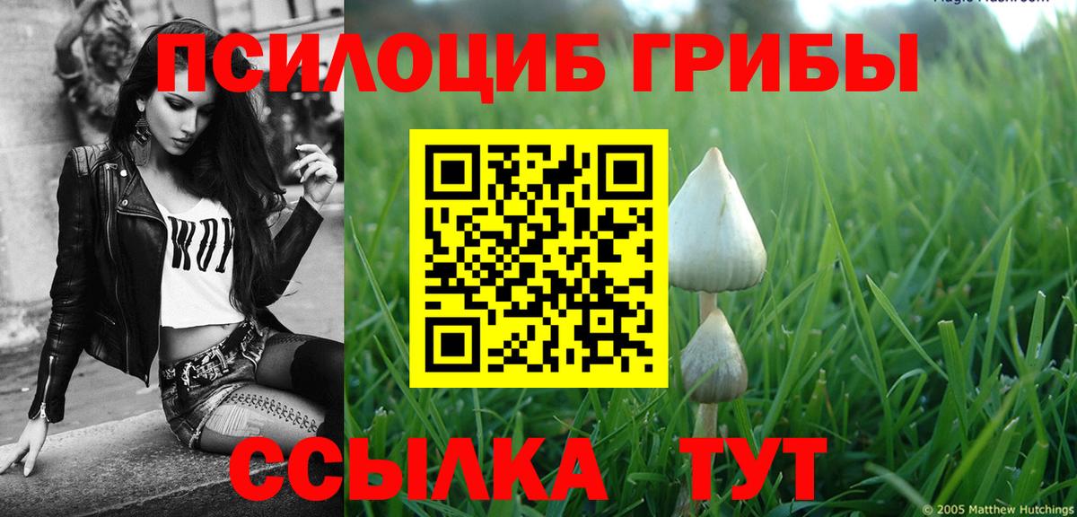 Галлюциногенные грибы мицелий Ступино